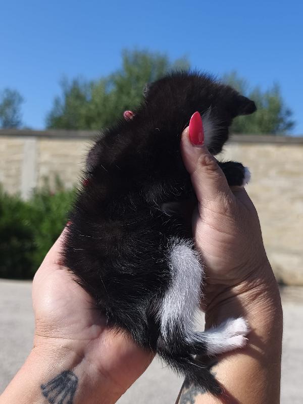 May, la piccolissima Foto 5